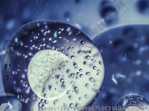 男性打干細胞時，吃這些水果或?qū)謴陀袔椭?>
								</a>
							</div>
														<div   id=